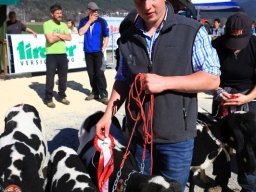 2019_ausstellung polling_584